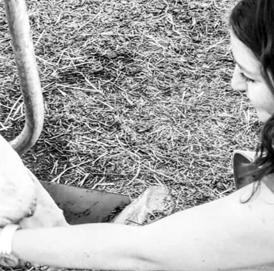 Le bien-être animal, c’est aussi bon pour la santé, le climat et l’agriculture locale