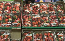 Pour le soutien à une agriculture de proximité