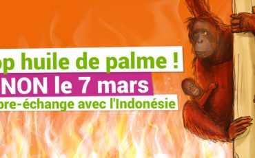 Accords de libre échange : un éco-faux-pas