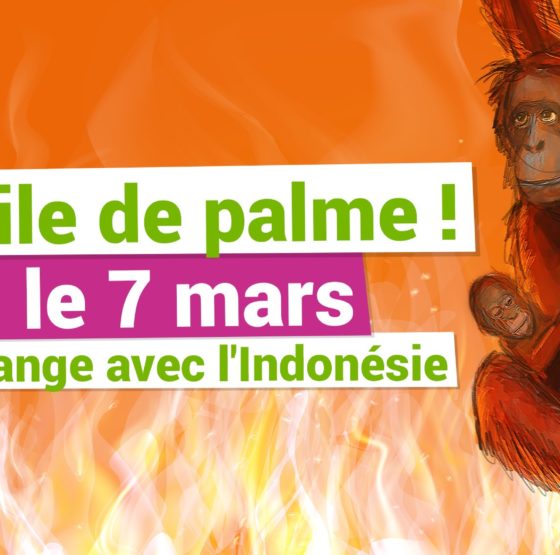 Accords de libre échange : un éco-faux-pas