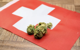 Cannabis: mieux encadrer pour mieux protéger