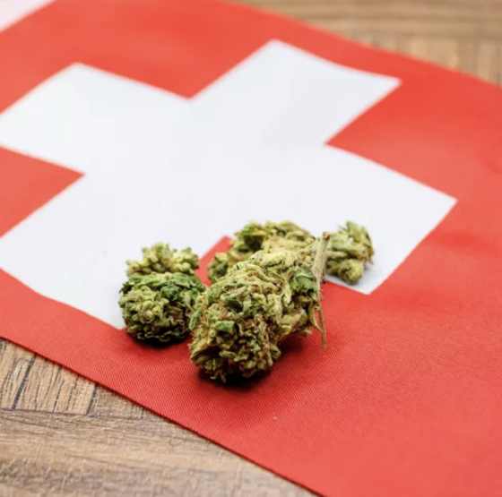 Cannabis: mieux encadrer pour mieux protéger